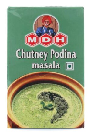 MDH - Chutney Masala Podina Spice Mix 10X100G