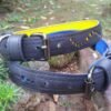 Eco Friendly Recycled Inner Tube Vegan Dog Collar by Paguro Upcycle