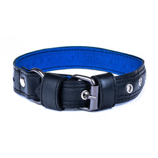 Eco Friendly Recycled Inner Tube Vegan Dog Collar by Paguro Upcycle