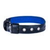 Eco Friendly Recycled Inner Tube Vegan Dog Collar by Paguro Upcycle