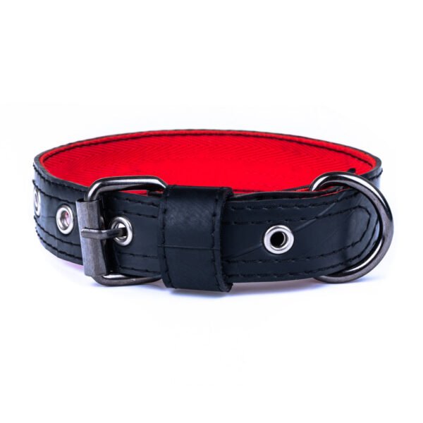Eco Friendly Recycled Inner Tube Vegan Dog Collar by Paguro Upcycle