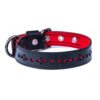 Eco Friendly Recycled Inner Tube Vegan Dog Collar by Paguro Upcycle