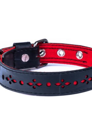 Eco Friendly Recycled Inner Tube Vegan Dog Collar by Paguro Upcycle