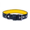 Eco Friendly Recycled Inner Tube Vegan Dog Collar by Paguro Upcycle