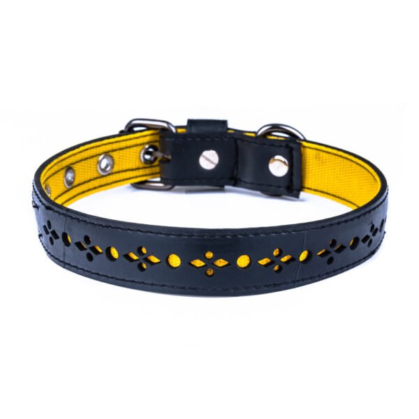 Eco Friendly Recycled Inner Tube Vegan Dog Collar by Paguro Upcycle