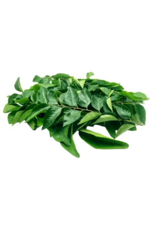 CURRY LEAVES 10x50GR