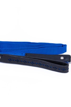 Eco Friendly Recycled Inner Tube Vegan Dog Lead by Paguro Upcycle