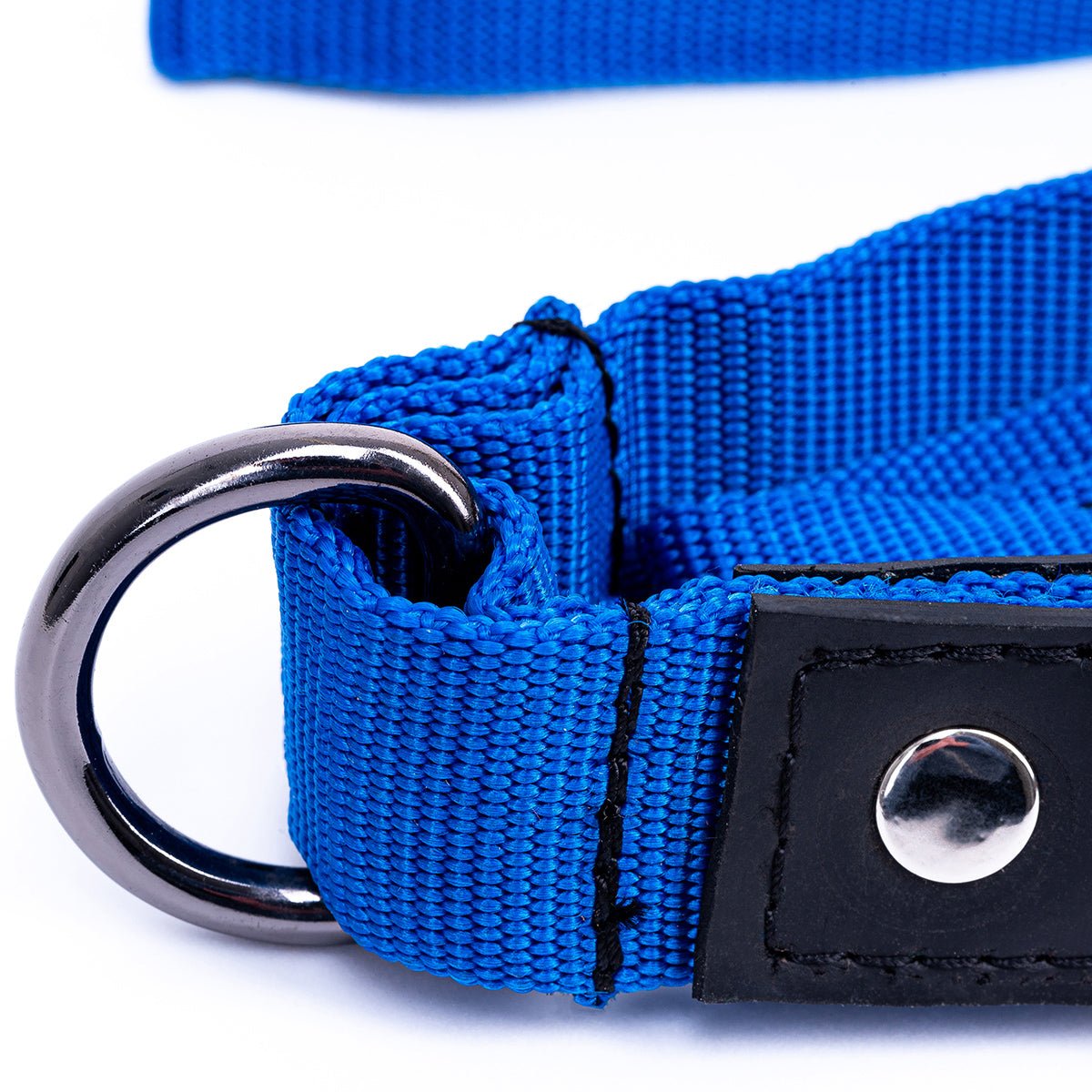 Eco Friendly Recycled Inner Tube Vegan Dog Lead by Paguro Upcycle