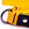 Eco Friendly Recycled Inner Tube Vegan Dog Lead by Paguro Upcycle