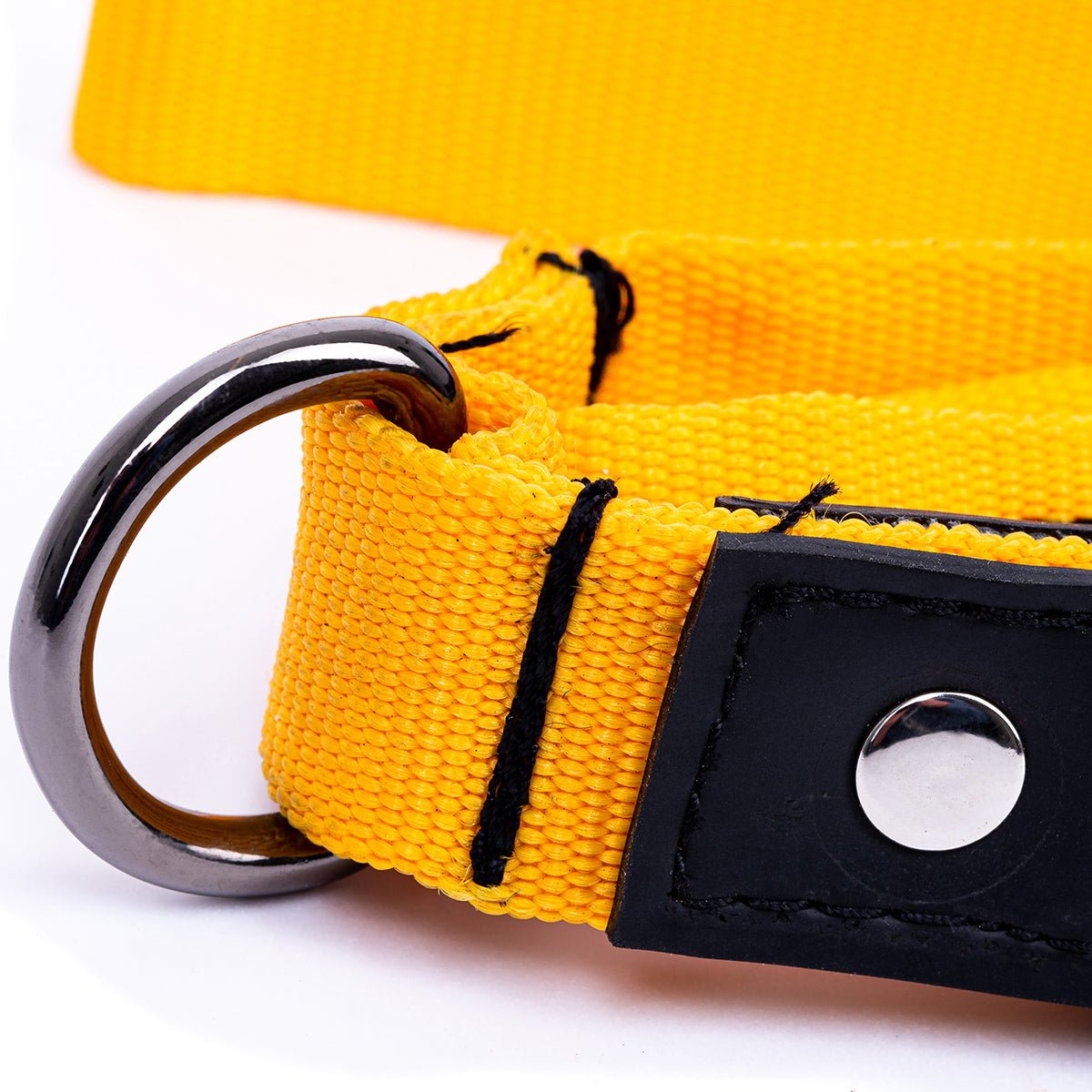 Eco Friendly Recycled Inner Tube Vegan Dog Lead by Paguro Upcycle