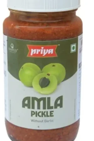 PRIYA AMLA PICKLE WITHOUT GARLIC 24X300G