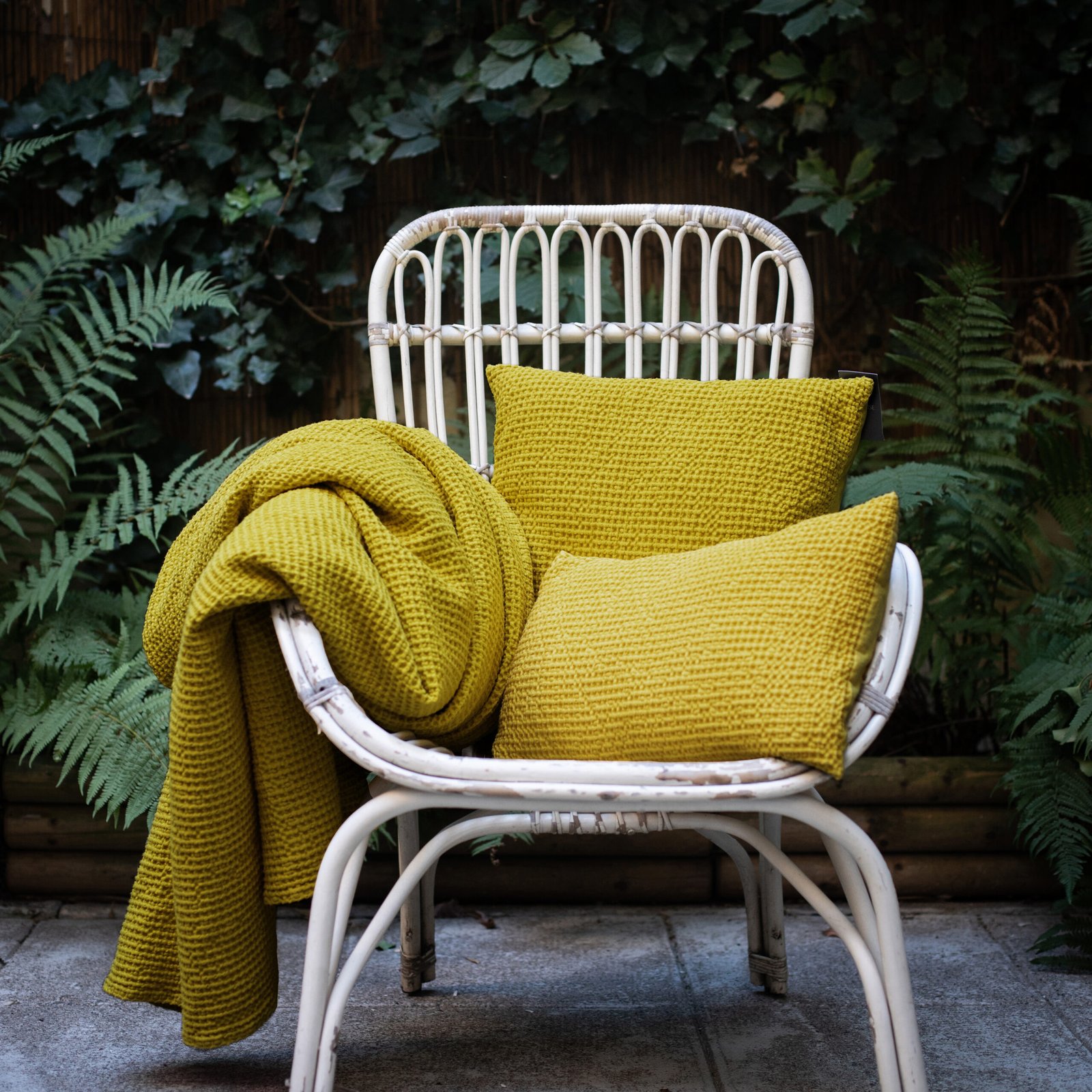 Maia Cushion Badiane 45 X 45