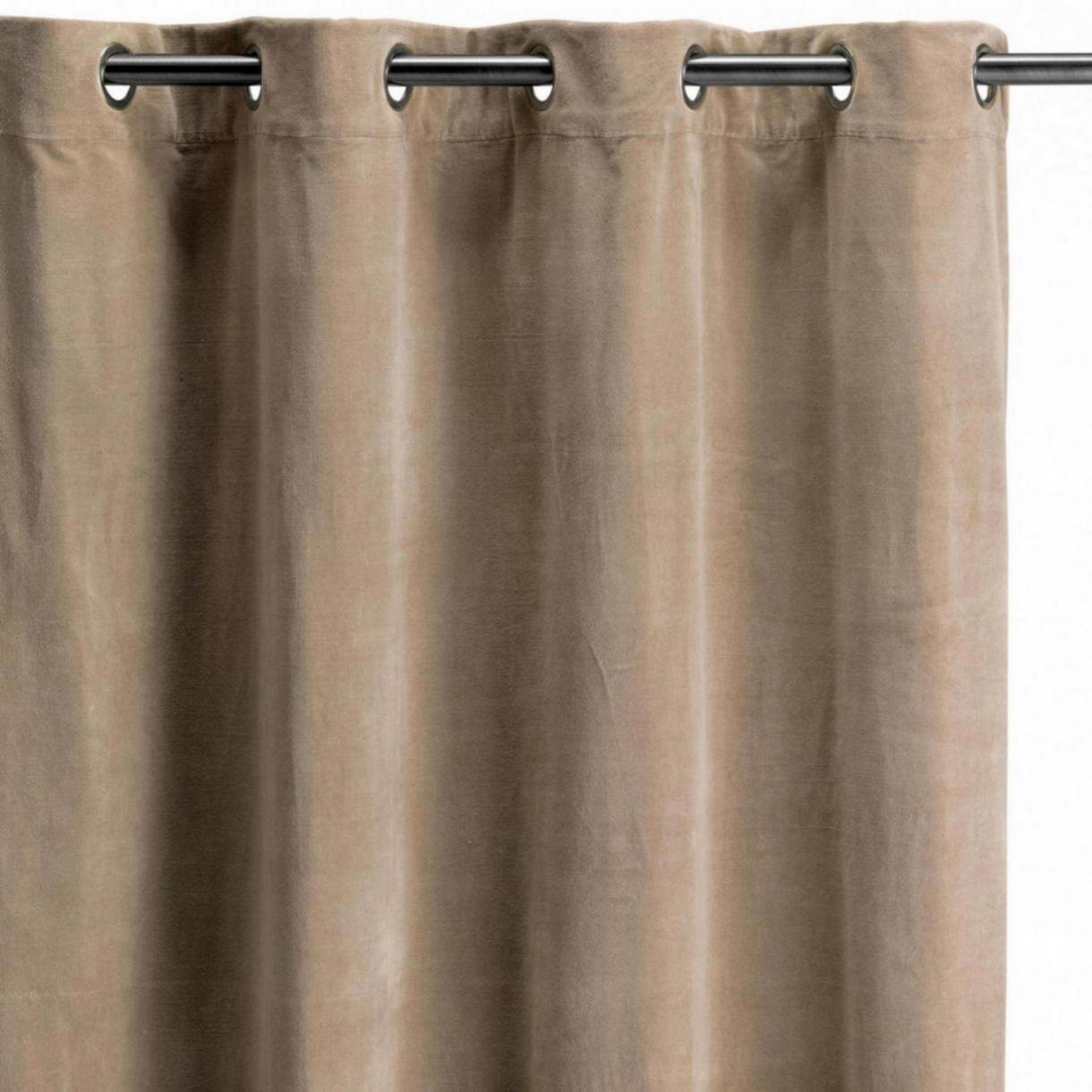 Elise Plain Curtain Ficelle 140 X 280