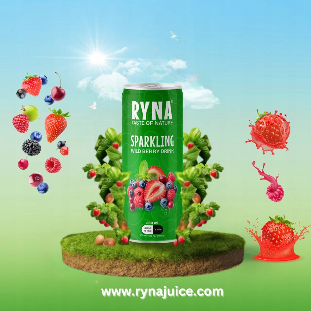 Ryna Wild Berry Sparkling Drink 250Ml - Image 2