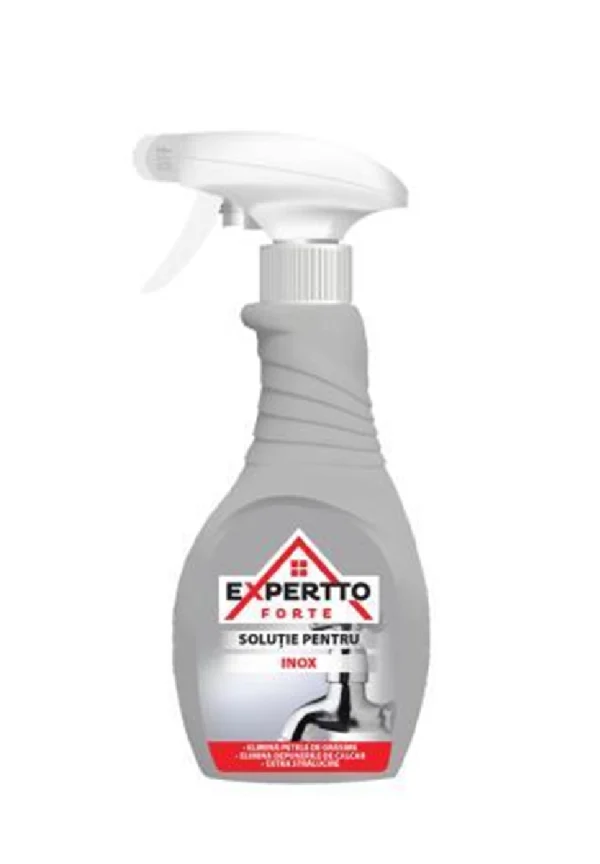 EXPERTTO FORTE INOX CLEANING SOLUTION 12X500 ML