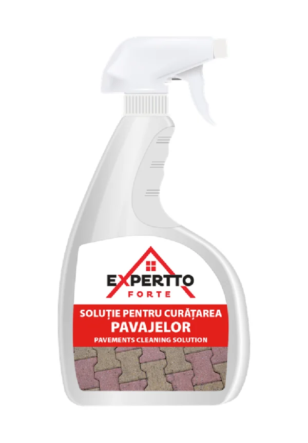 EXPERTTO FORTE pavements cleaning solution 8X750 ml