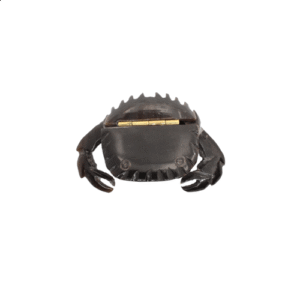 Artisanal Ox Horn Box - Small Crab