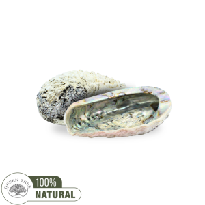 Abalone Shell small 7-9 cm