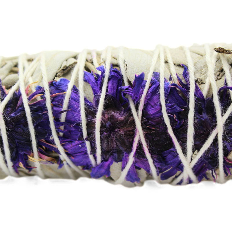 Purple Daze Sage 10cm - Image 2