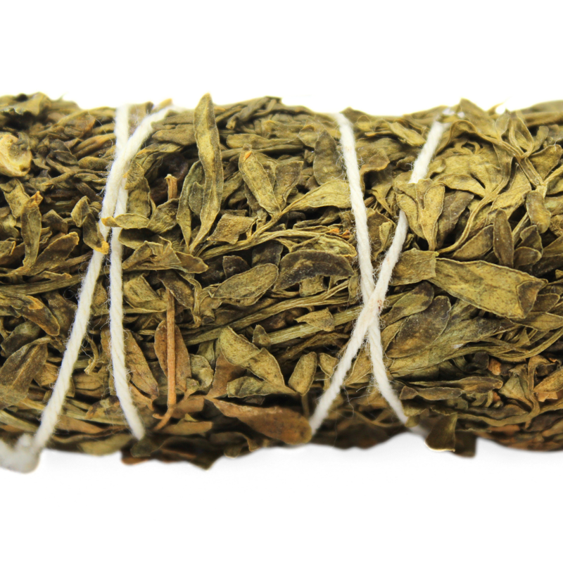 Ruda Rue Sage 10cm - Image 2