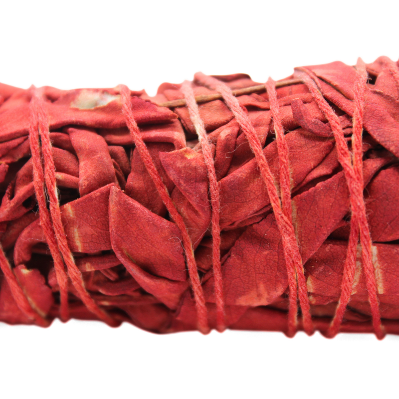 Dragon's Blood Sage 10 Cm - Image 2