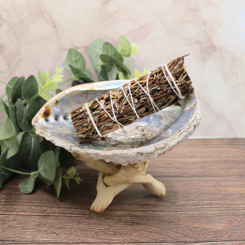 Mountain Sage 10 Cm - Image 3