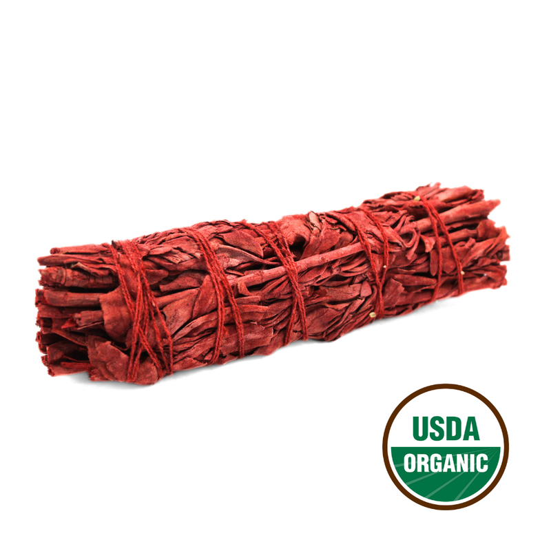 Dragonsblood Sage 15cm