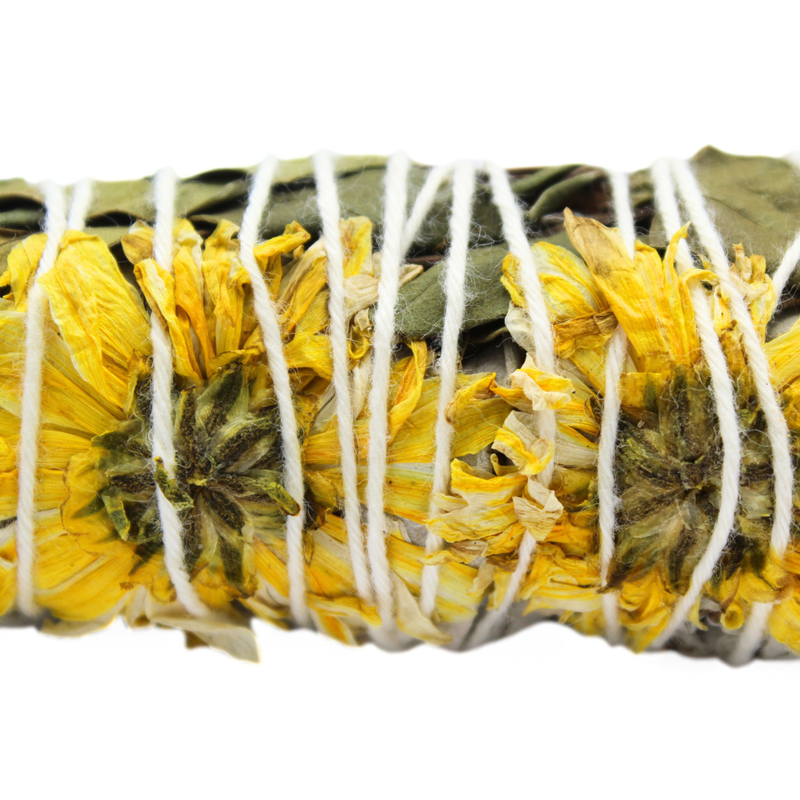 Sunflower Sage 10cm - Image 2