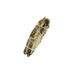 Yerba Santa Sage 10 cm with header