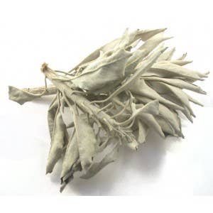 White Sage Leaves 500 Gram