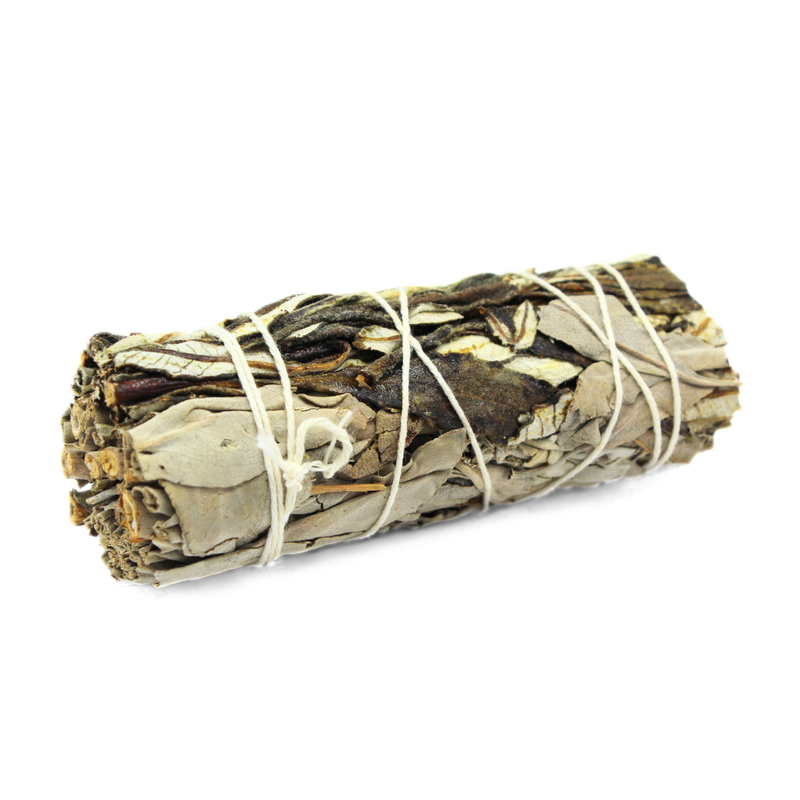 Yerba Santa Sage with label - Image 3