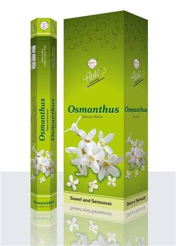 Flute Osmanthus Hexa