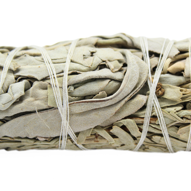 White Sage & Blue Sage Smudge Stick 10cm - Image 2