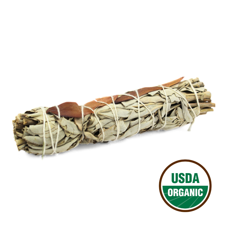 Dream Sage 15cm