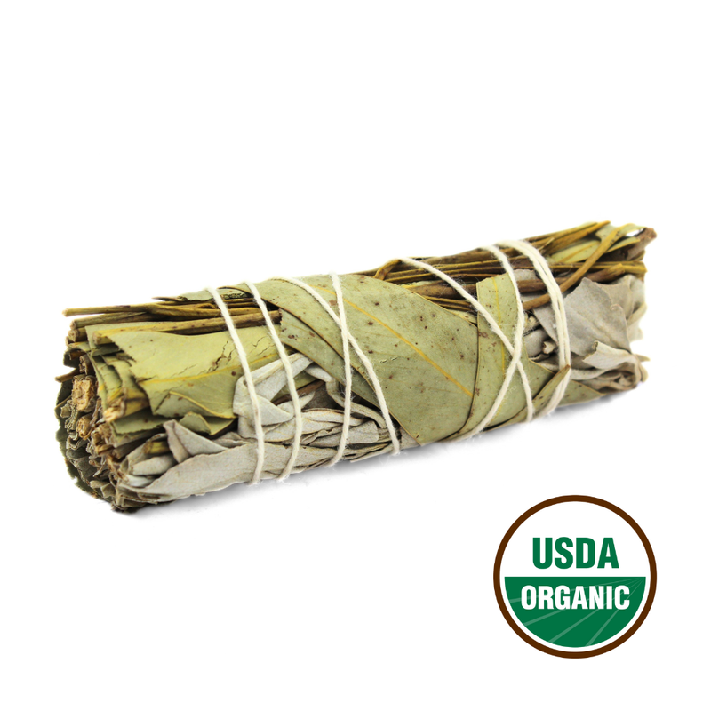Californian White Sage Smudge & Eucalyptus 10cm