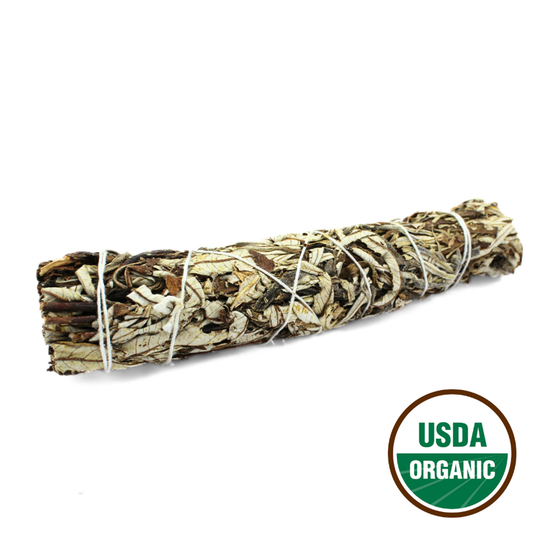 Yerba Santa 22 Cm