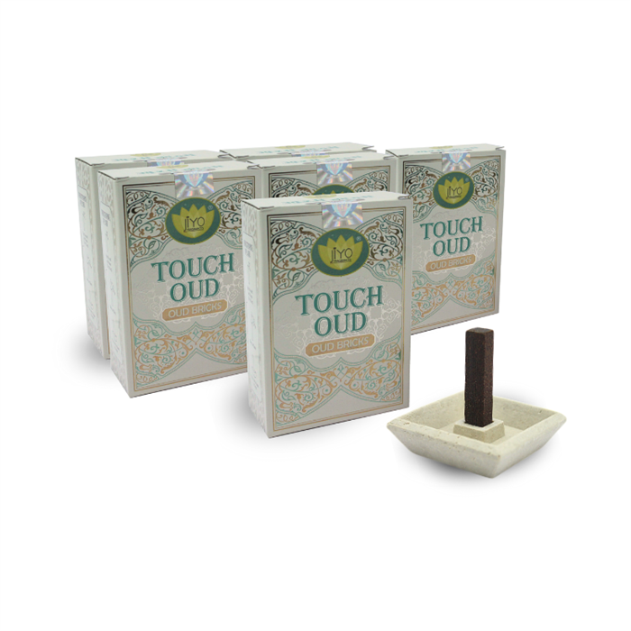 Parimal Jiyo Oudh Bricks - Touch Oudh