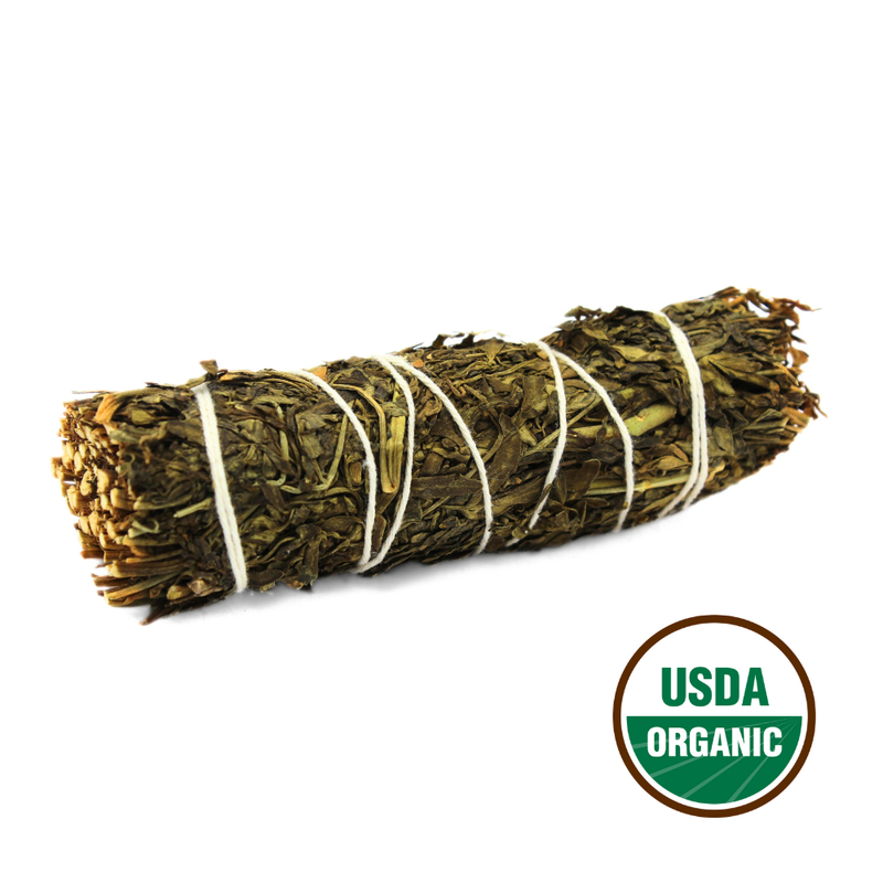 Ruda Rue Sage 10cm