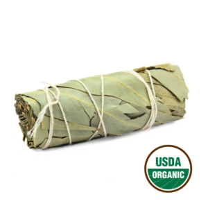 Eucalyptus Sage 10cm