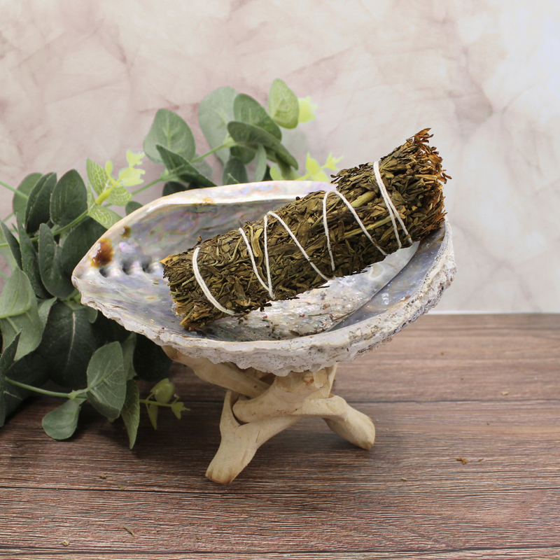 Ruda Rue Sage 10cm - Image 3