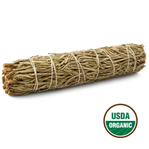 Rosemary Sage 22 Cm