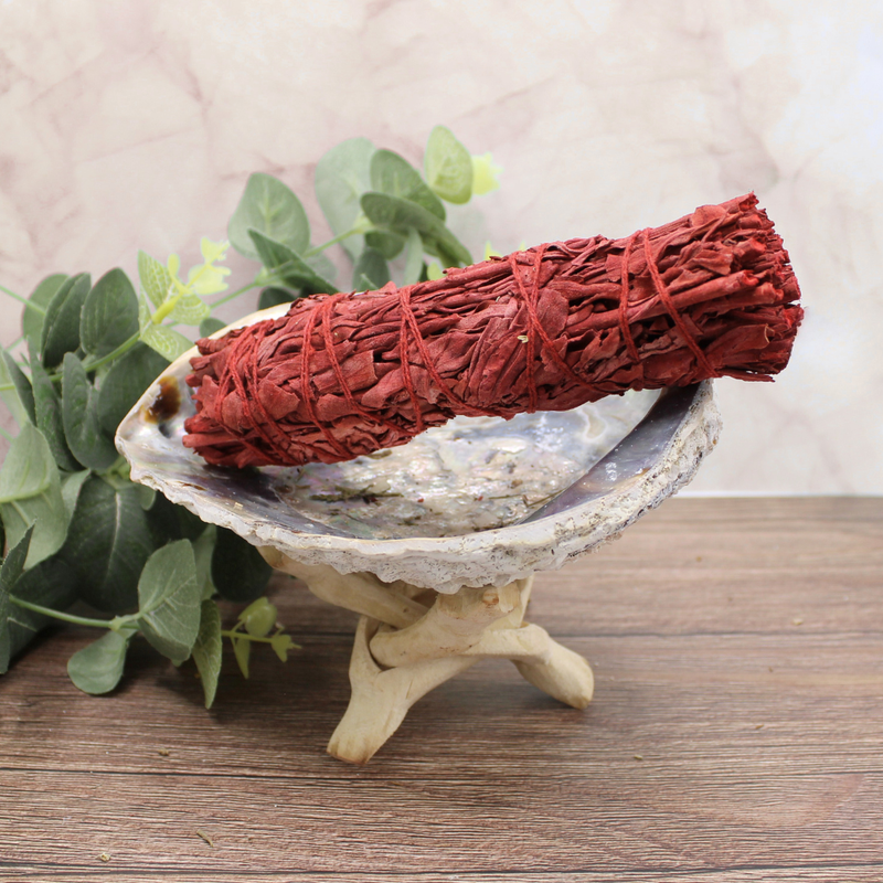 Dragonsblood Sage 15cm - Image 3