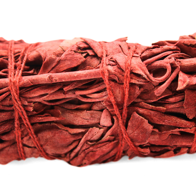 Dragonsblood Sage 15cm - Image 2