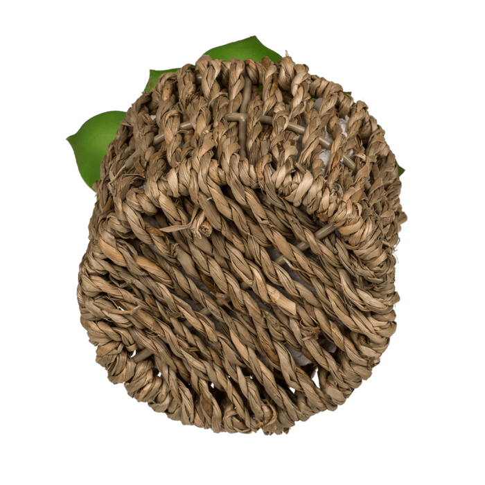 Decoration Succulents in sea-grass pot, - Image 4