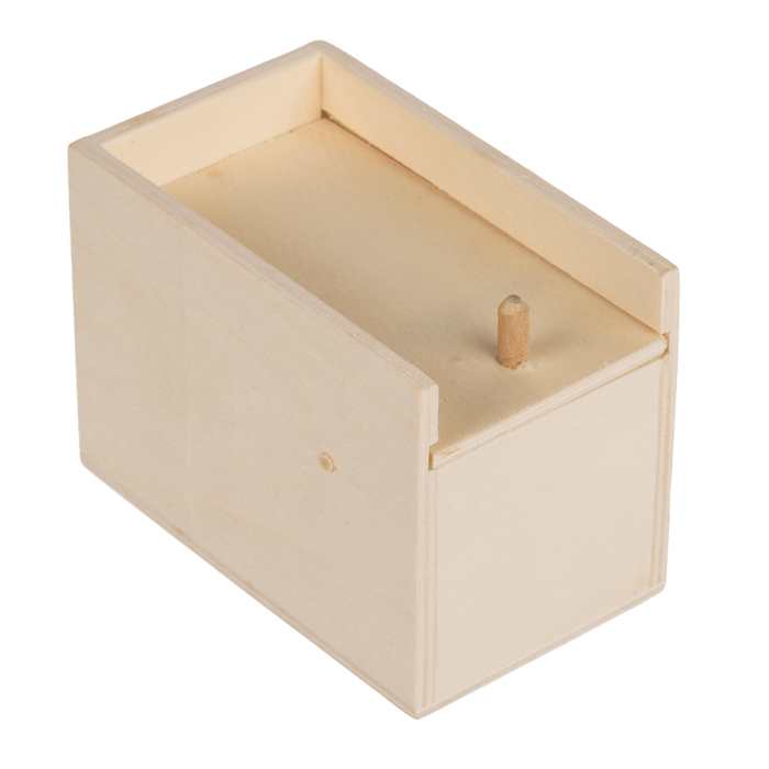 Scary spider in wooden box, - Image 4
