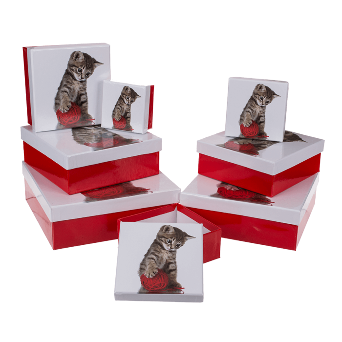 Red/white gift boxes, Cat, - Image 2
