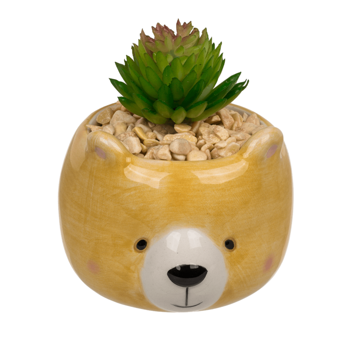 Decoration succulent in pot, Animals, - Image 2