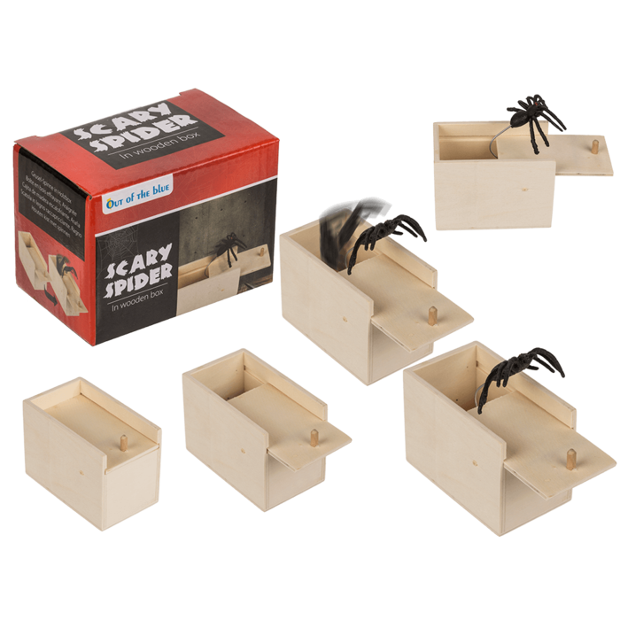 Scary spider in wooden box,