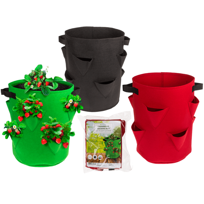 Strawberry Growing bag, with 8 plant pockets,
