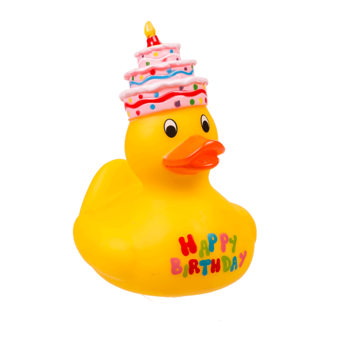 Yellow squeaking duck, Happy Birthday, - Image 2